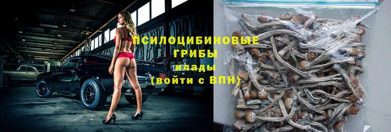 продажа наркотиков  Верхняя Пышма  Галлюциногенные грибы мухоморы 